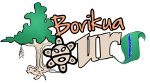 Borikua Tours