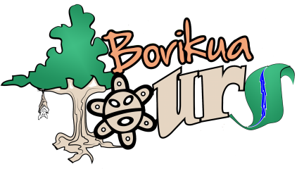 Borikua Tours