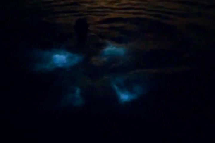 a blurry image in a dark sky