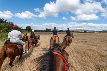 a group of people riding on the back of a brown horse