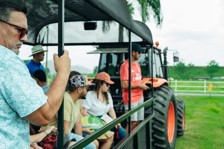 People sitting on a tractor-pulled wagon ride through a grassy area, with palm trees in the background.