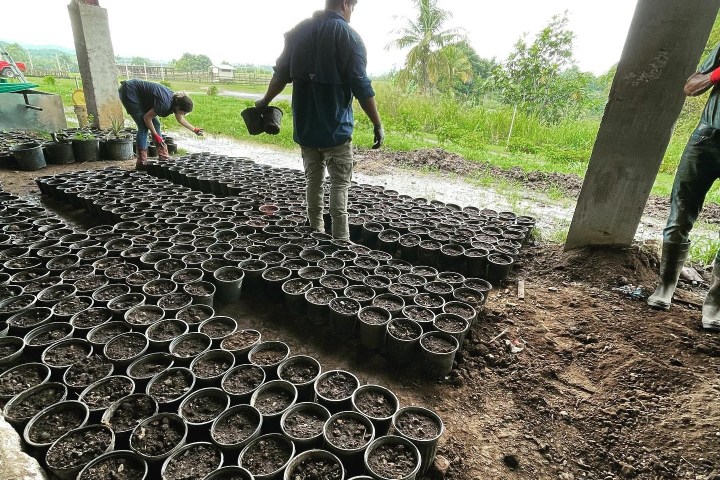 People arranging plant pots under a shed with a view of a grassy landscape.