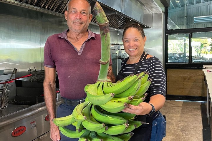 Two people in a kitchen holding a large bunch of green bananas.